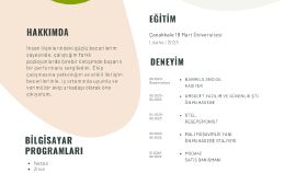 Cv Tasarımı