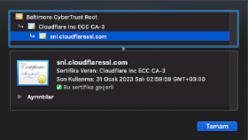 Web Sitesi İçin SSL Entegresi