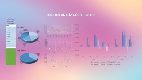 Karlılık Analiz Göstergeleri Paneli