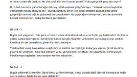 Örnek bir roman girişi üzerinde düzeltme