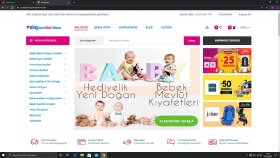 Website Ürün-Veri Girişi