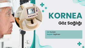 Kornea (Göz Sağlığı) İnfografik Sunum