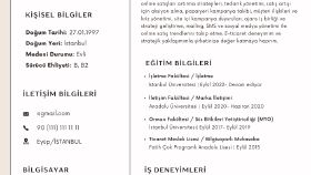 Cv tasarımı
