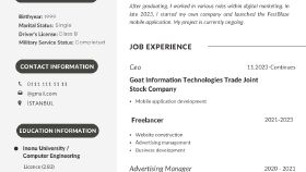 Cv Tasarımı