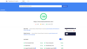 Pagespeed puan yükseltme hizmeti
