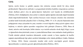 Araştırma makalesi ve literatür taraması yazdım