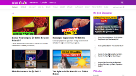 Blogger tema düzenleme