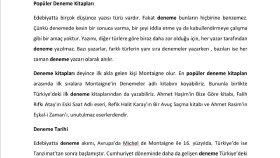 Deneme Kitapları 