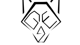 Bionlukta yaptığım logo siparişlerim