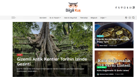 bilgilikus.com SEO danışmanlığı