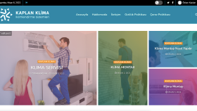 wordpress site tasarımı