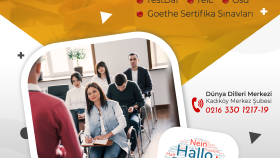Dünya Dilleri Eğitim Merkezi Insta Post Tasarım