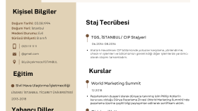 Cv Tasarımı