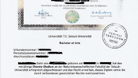 Diploma Tercüme