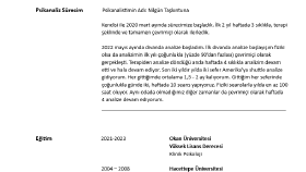 Profesyonel Cv