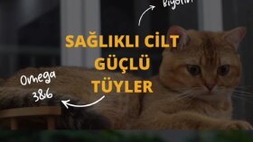 KPF Türkiye için hazırlandı