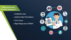 Sunum & Infografik