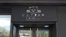 CATPAW Logo Tasarımı