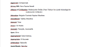 Üniversite - Uluslararası Ticaret Çevirisi