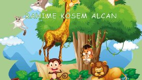 KDY Yayınları Hayat Ağacı Kitabı