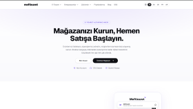 Sitelerinizin performans ve akış testlerini yaparım