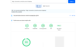 Mobil PageSpeed Sorunları
