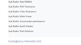 Web sitesi içeriği 