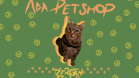 Kedi proje