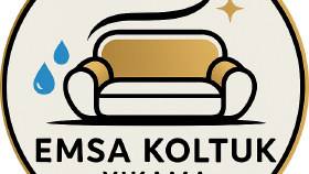 Emsa Koltuk Yıkama için Prestijli Siyah-Altın Kurumsal Logo