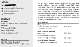 Profesyonel CV
