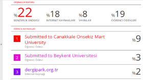 Akademik çalışmanın intihal (orjinallik) raporu