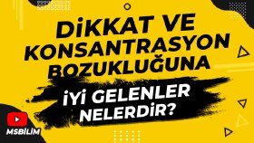 MSBİLİM - Dikkat ve Konsantrasyon Video Küçük Resmi