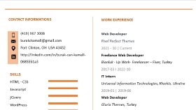 PROFESYONEL CV TASARIMI