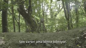 Bionluk Çalışmalarım