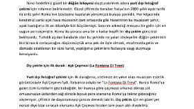 Web Sitesi İçeriği