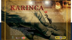 Danışmanlıklar