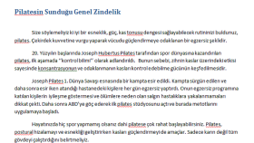 Web Sitesi İçin Kategori Metini
