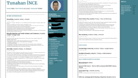 İngilizce CV 