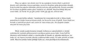 11 sayfalık kısa hikayeden çeviri örneği ve metin düzenleme 