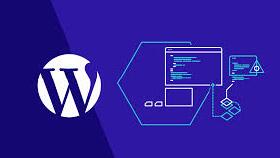 site yapımı
