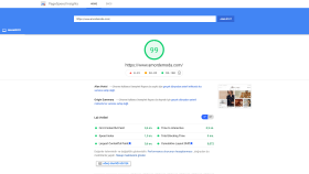 Google Pagespeed Insights Website hızlandırma hizmeti
