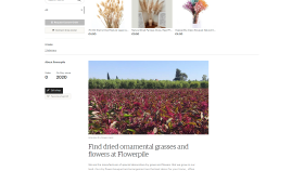 Flowerpile ETSY Mağazası