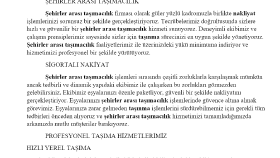 Websitesi içerik yazısı
