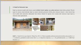 Metin Yazımı ve Sunum Dosyası