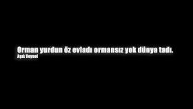 Ödev Adlı Çalışma