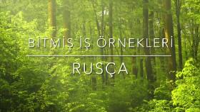 YABANCI DİL İŞ ÖRNEKLERİ-RUSÇA