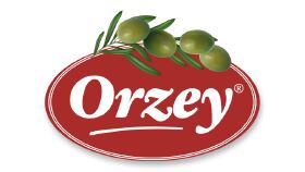Orzey Logo Çalışması