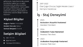 Cv Tasarımı