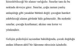 Çocuk Gelişiminde Sınırların Önemi Üzerine Yazı