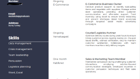 Profesyonel CV